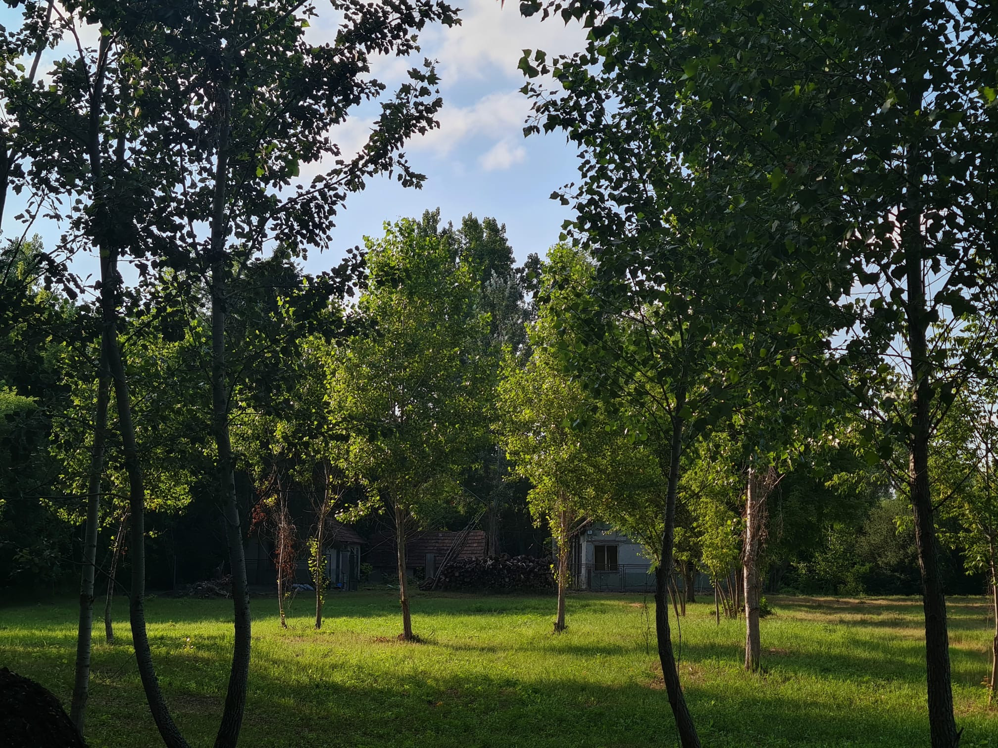 Potônske Lúky, okr. DS – NA PREDAJ jedinečný pozemok na brehu malého Dunaja s rodinným domom so súpisným číslom. — foto 2