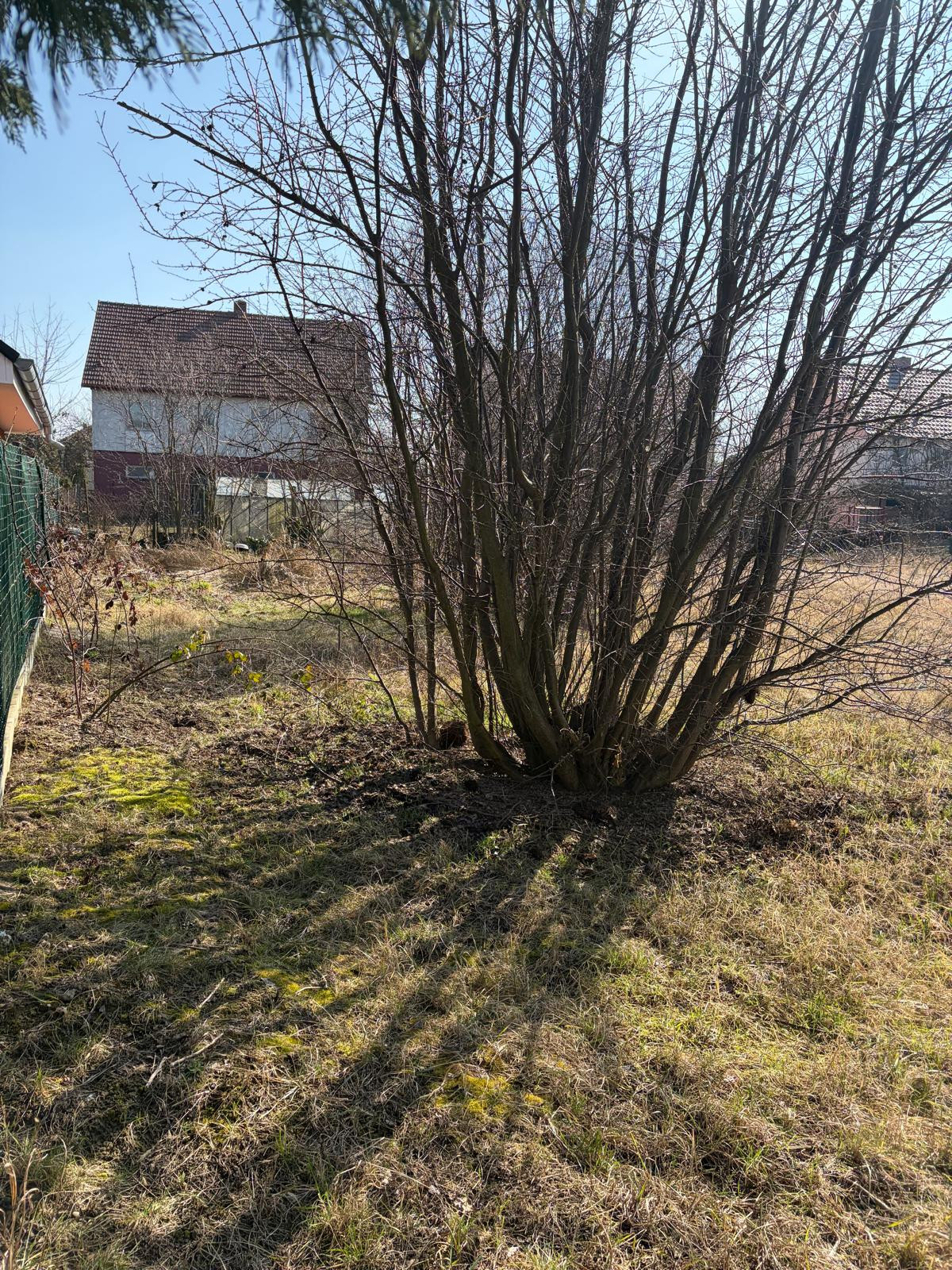 Rezervovaný ZÁHRADA na predáj, Dunajská LUŽNÁ — foto 2