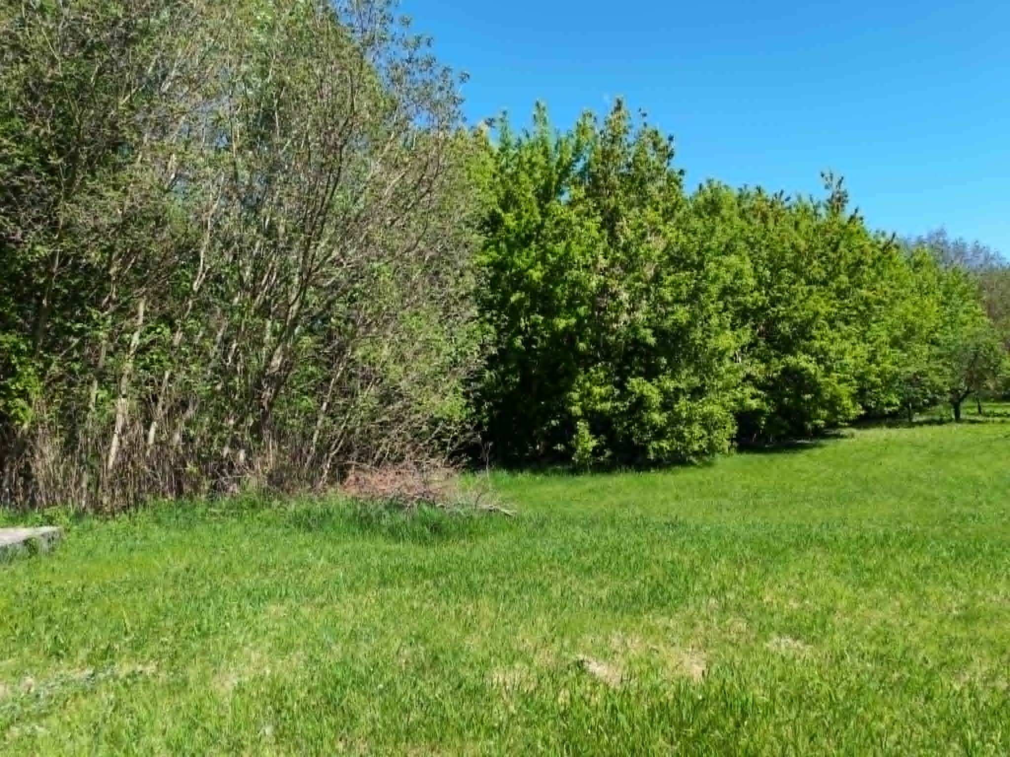 Na predaj pozemok pri Dunaji v obci Moča — foto 3